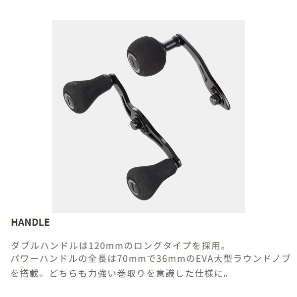 ヴィレイヤーDG